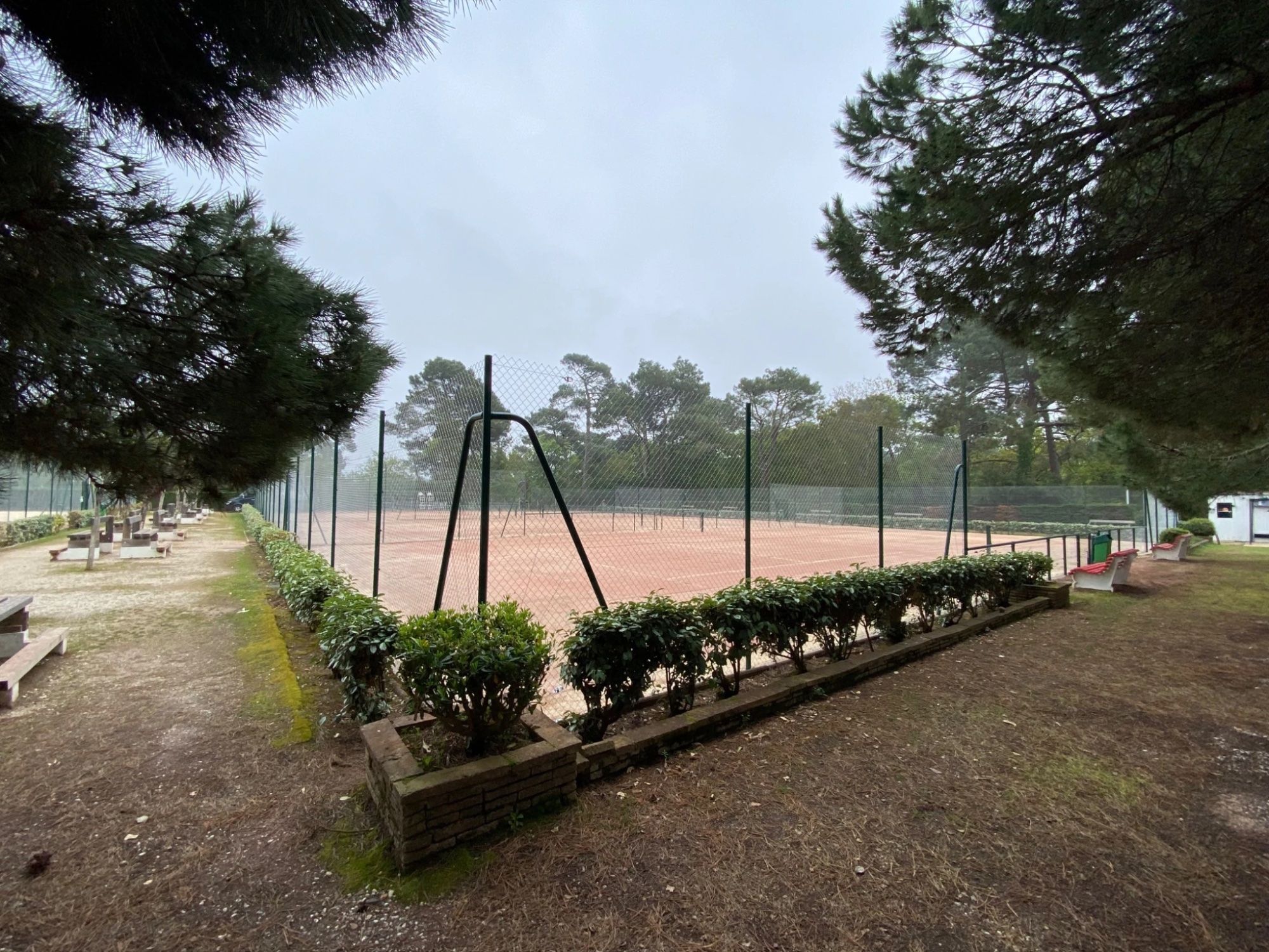Rénovation de clôture de terrain de tennis – remplacement grillage simple torsion renforcé